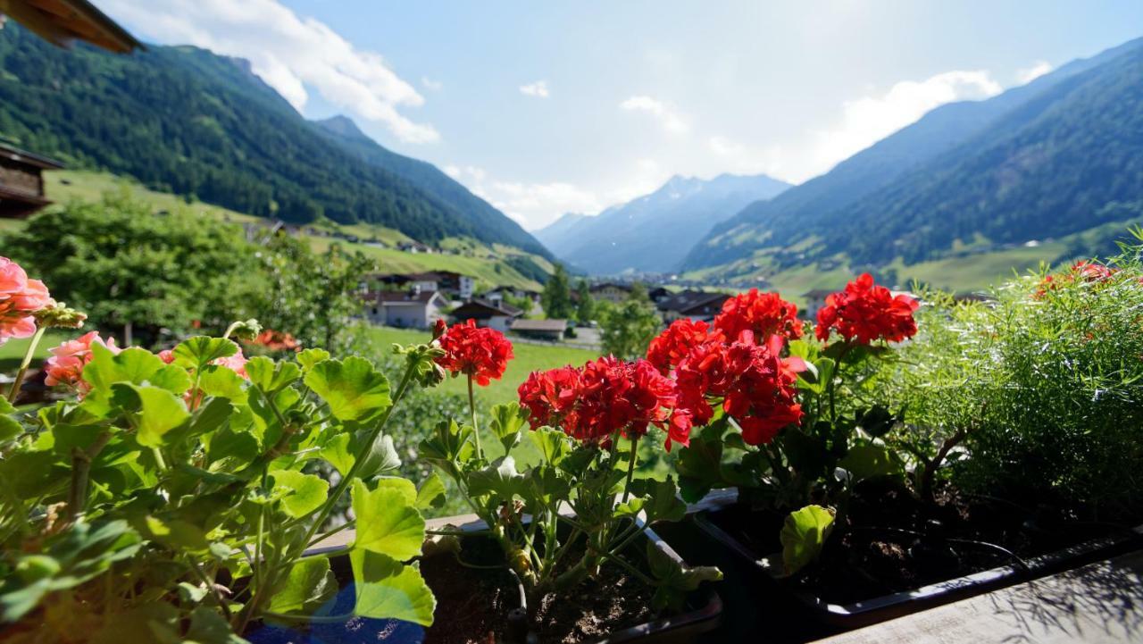 Fleckhof Ξενοδοχείο Neustift im Stubaital Εξωτερικό φωτογραφία